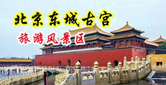 黄色免费操逼拱屄视频网站中国北京-东城古宫旅游风景区